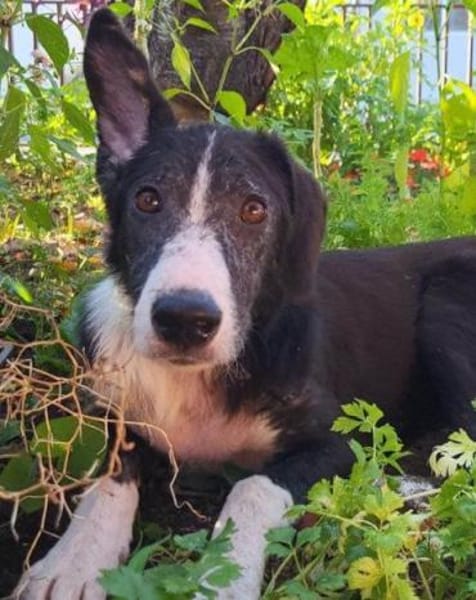 Genießerschnute ♥Mona♥ in 01640 Coswig