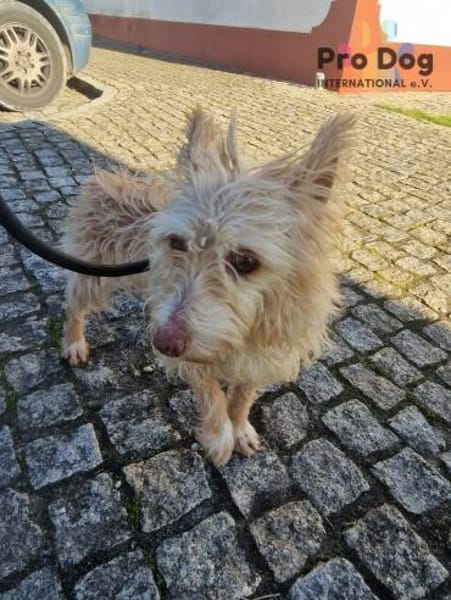 Mayim auf Pflegestelle