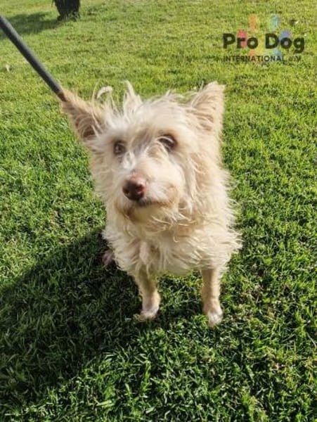 Mayim auf Pflegestelle