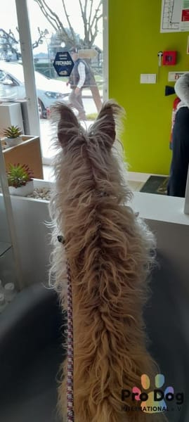 Mayim auf Pflegestelle