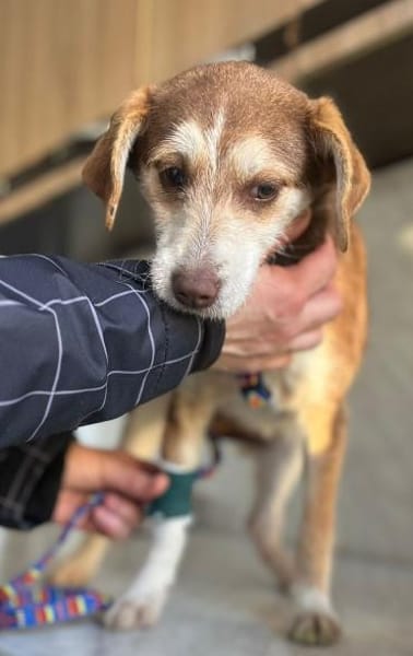 Süße Malou möchte eine Familie