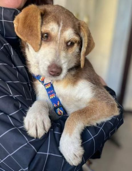 Süße Malou möchte eine Familie