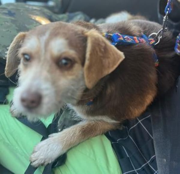 Süße Malou möchte eine Familie