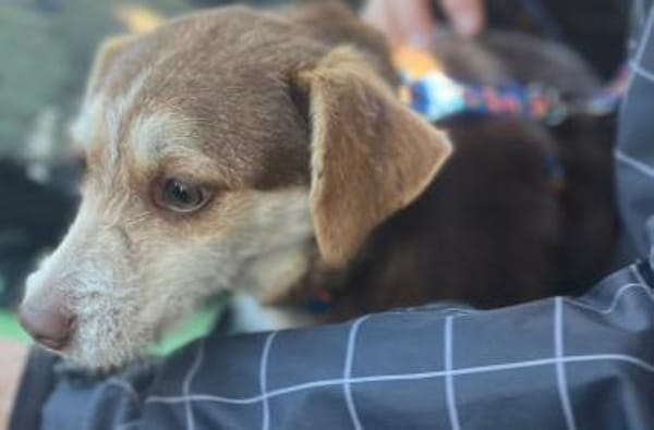 Süße Malou möchte eine Familie