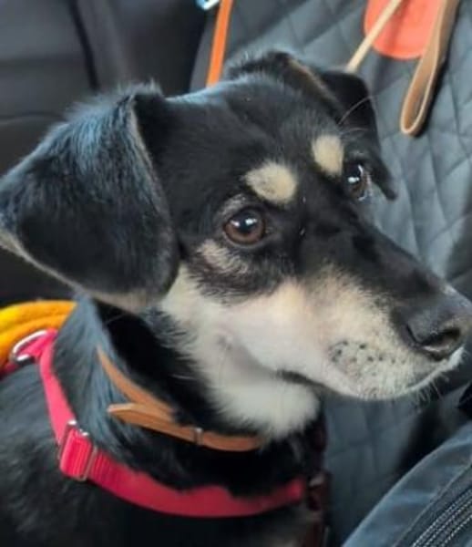 Klein Yaya ist aufgeschlossen und lieb