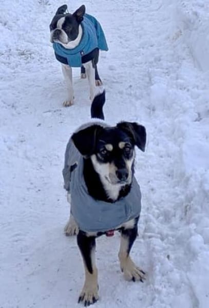Klein Yaya ist aufgeschlossen und lieb