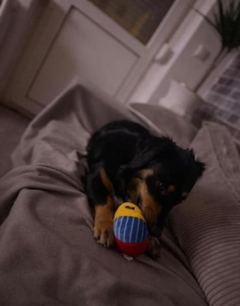 Die hübsche Mila❤❤