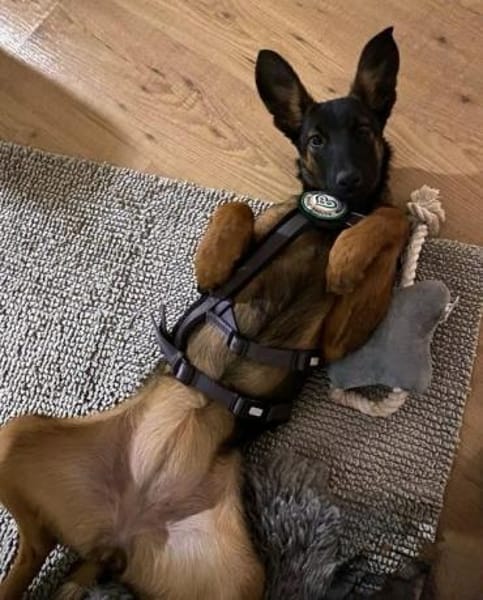 Landina sucht liebevolle Familie....