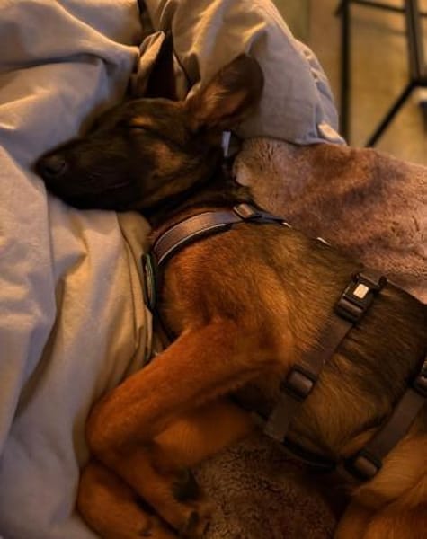 Landina sucht liebevolle Familie....