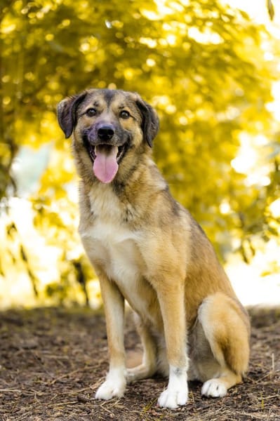 Wunderbare Rey  alles auf Anfang!