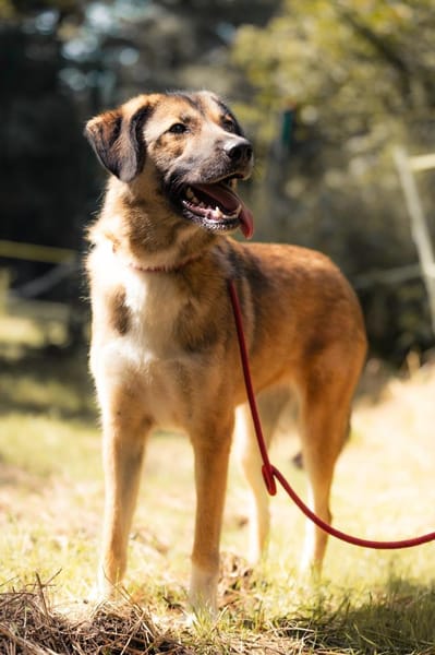 Wunderbare Rey  alles auf Anfang!