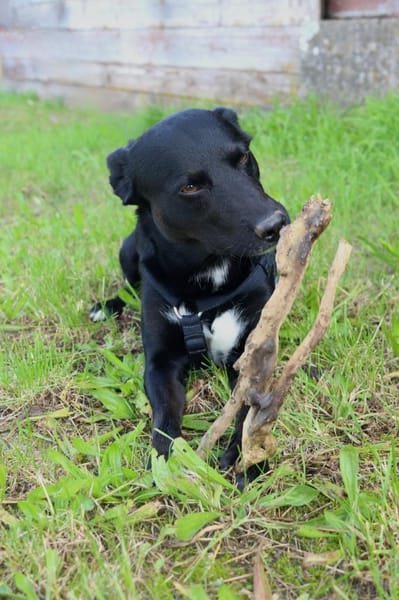 August - bringt den Sommer ins Haus 🌞