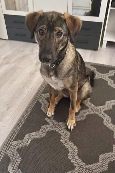 Kassandra möchte sich endlich binden💕