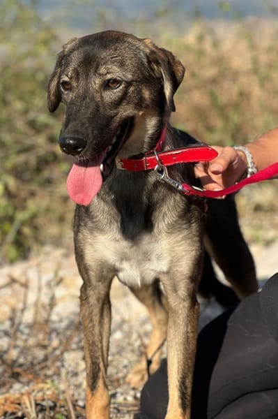 Kassandra möchte sich endlich binden💕