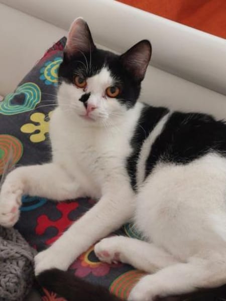 Sarah & Sasha Ruhiges Dreamteam