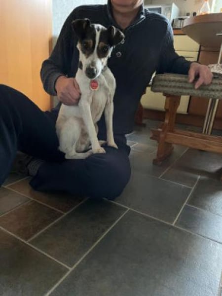 Jake - ein echter Hauptgewinn