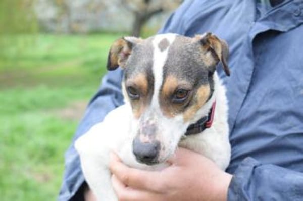 Jake - ein echter Hauptgewinn