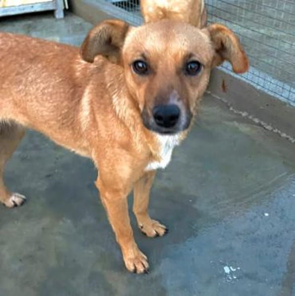 Elly - in 20257 HAMBURG