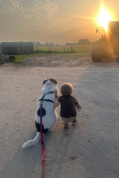 Sharky Kinderfreund sucht Familie 🐶💚