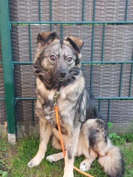 Einzigartig süße Frieda 1 Jahr