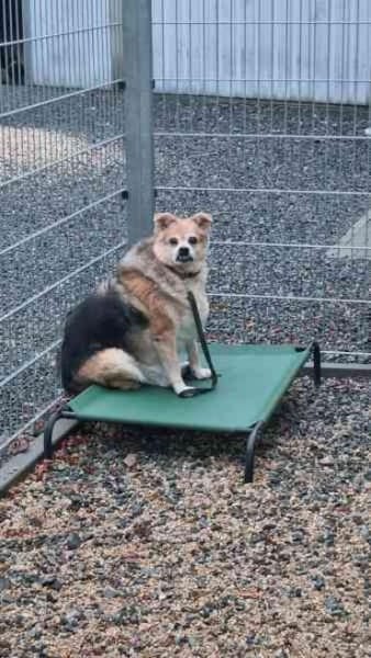 Lucky, su. ebenerdiges Zuhause