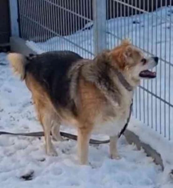 Lucky, su. ebenerdiges Zuhause