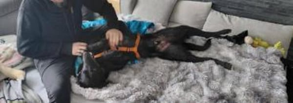 sehr lieber Rimo auf PS in 86637