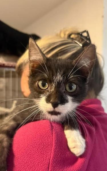 Erik neugieriger Bursche sucht Familie