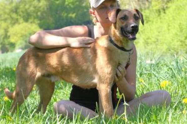 Maddox Möchte die Welt sehen