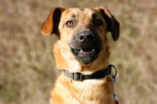 Maddox Möchte die Welt sehen