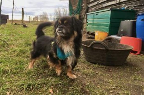 Nanno liebe und Herzenswarm 💚