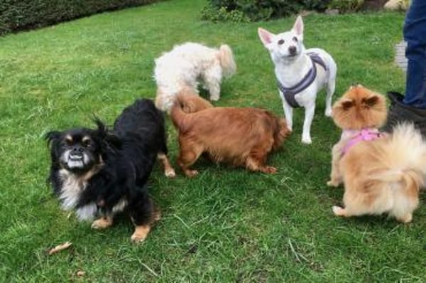 Nanno liebe und Herzenswarm 💚