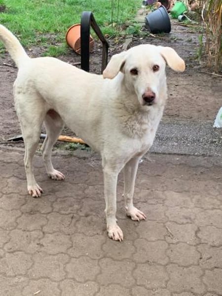 Orkun sucht geduldige Menschen