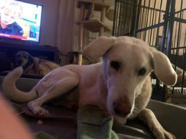 Orkun sucht geduldige Menschen