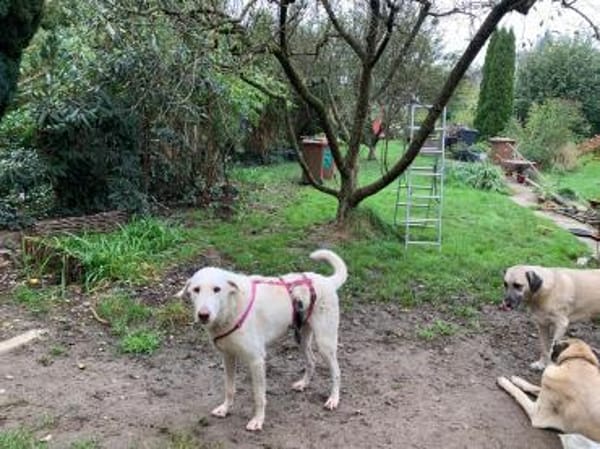 Orkun sucht geduldige Menschen