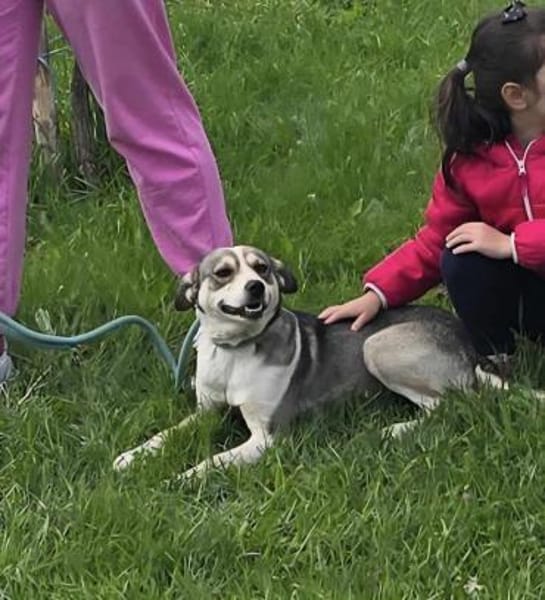 BRINA = Schatz auf vier 🐾🐾 ♥