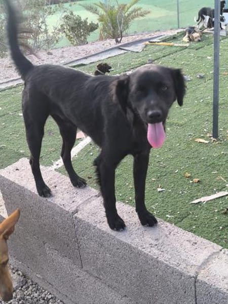 Nuts ist ein Draufgänger