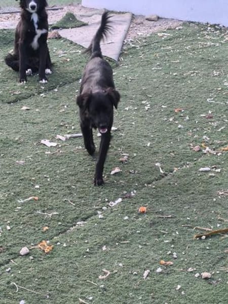 Nuts ist ein Draufgänger