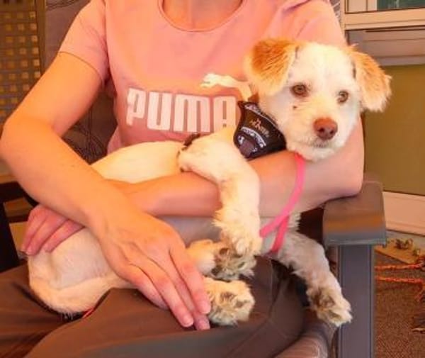 Charakterkopf Lucky sucht dich!