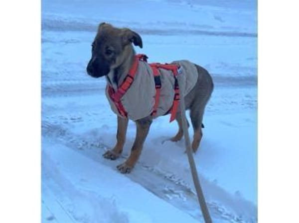 Carola - wartet in 42859 Remscheid