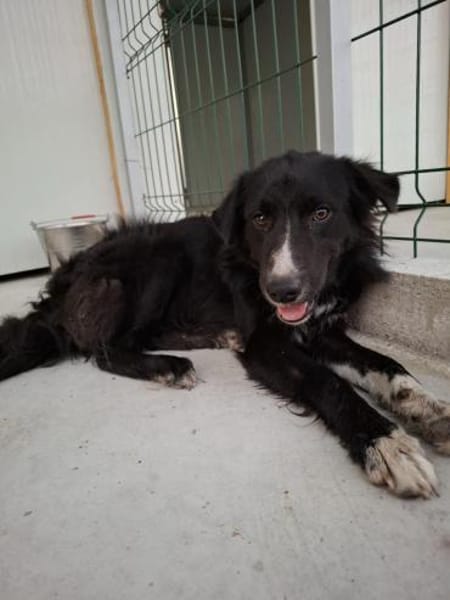 Lieber WOODY in 20257 HAMBURG