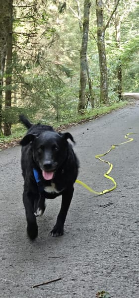 Jones  möchte Ankommen