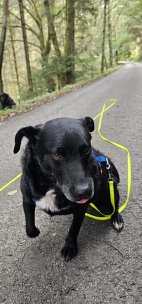 Jones  möchte Ankommen