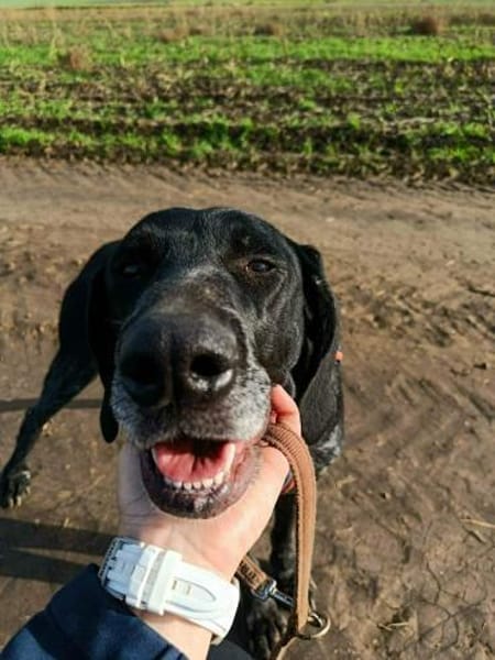 Bildhübsche RONJA auf Familiensuche !