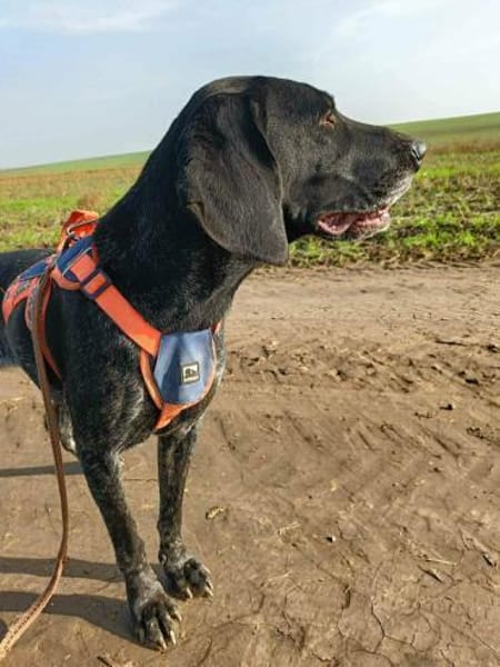 Bildhübsche RONJA auf Familiensuche !