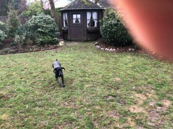 Bildhübsche RONJA auf Familiensuche !