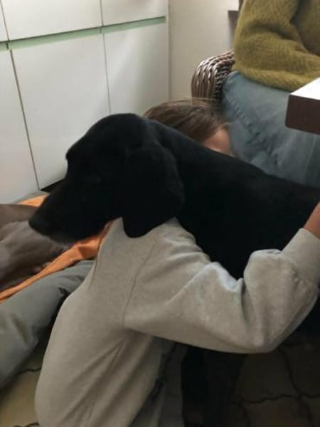 Bildhübsche RONJA auf Familiensuche !