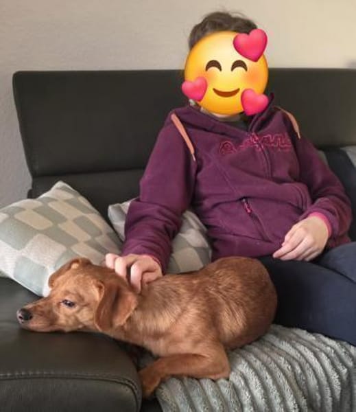 FINI - LUSTIG UND FREUNDLICH