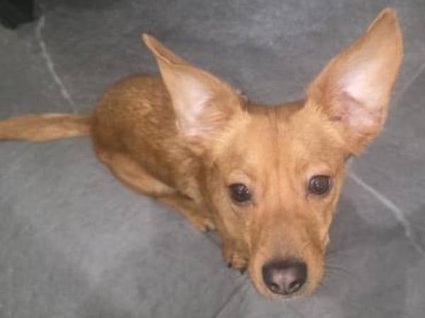 FINI - LUSTIG UND FREUNDLICH