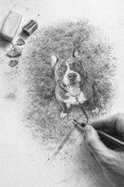 TATUM, le gentil loulou